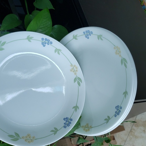 Corelle dinner plates 10 in - Picture 4 of 5